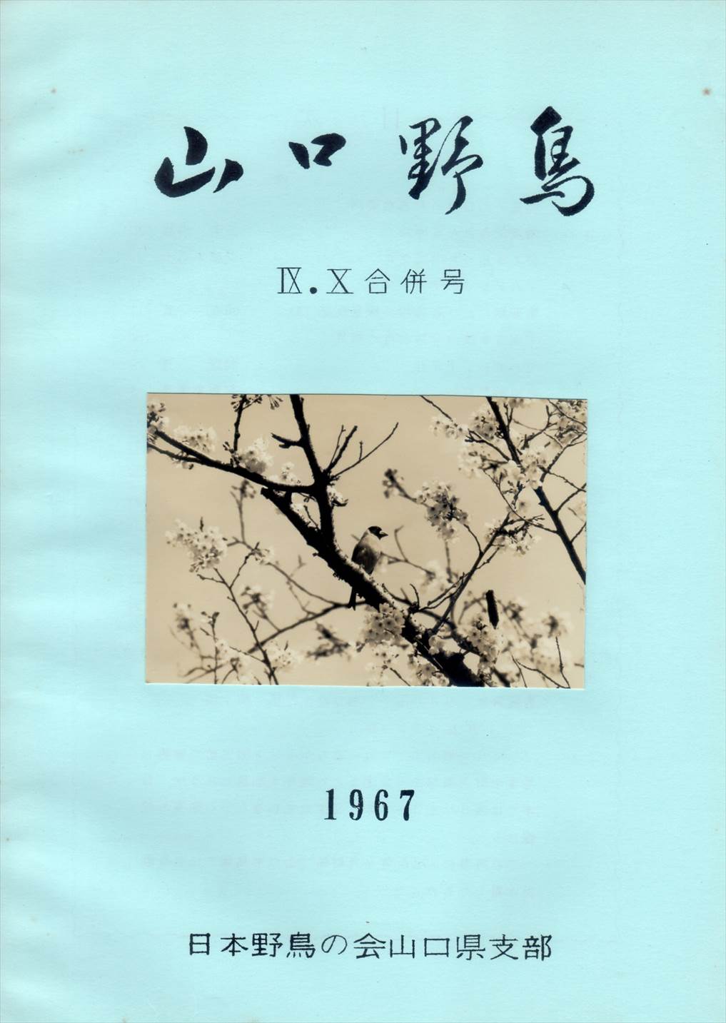 表紙(山口野鳥 Ⅸ.Ⅹ合併号 1967
