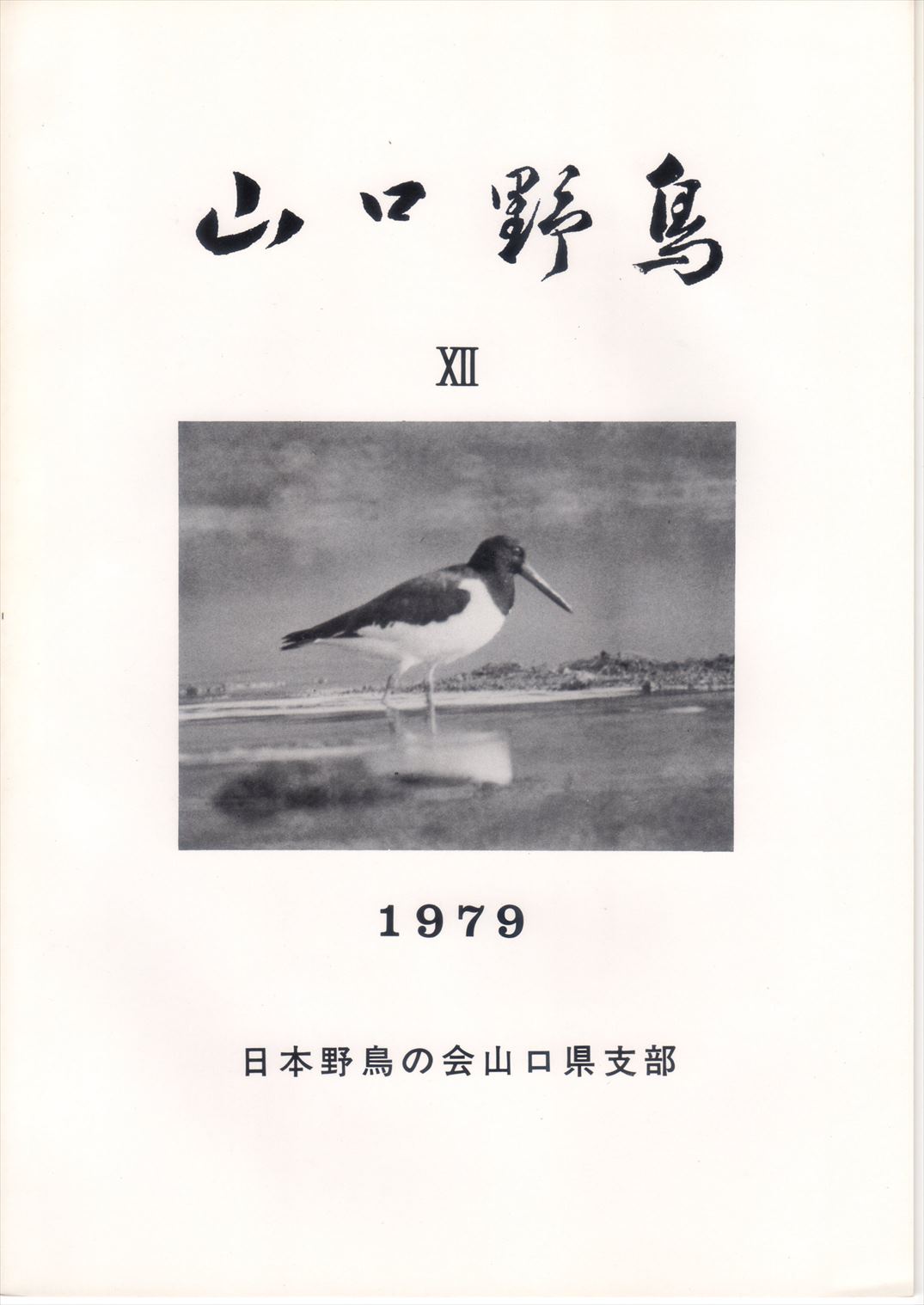 表紙(山口野鳥 ⅩⅡ 1979
