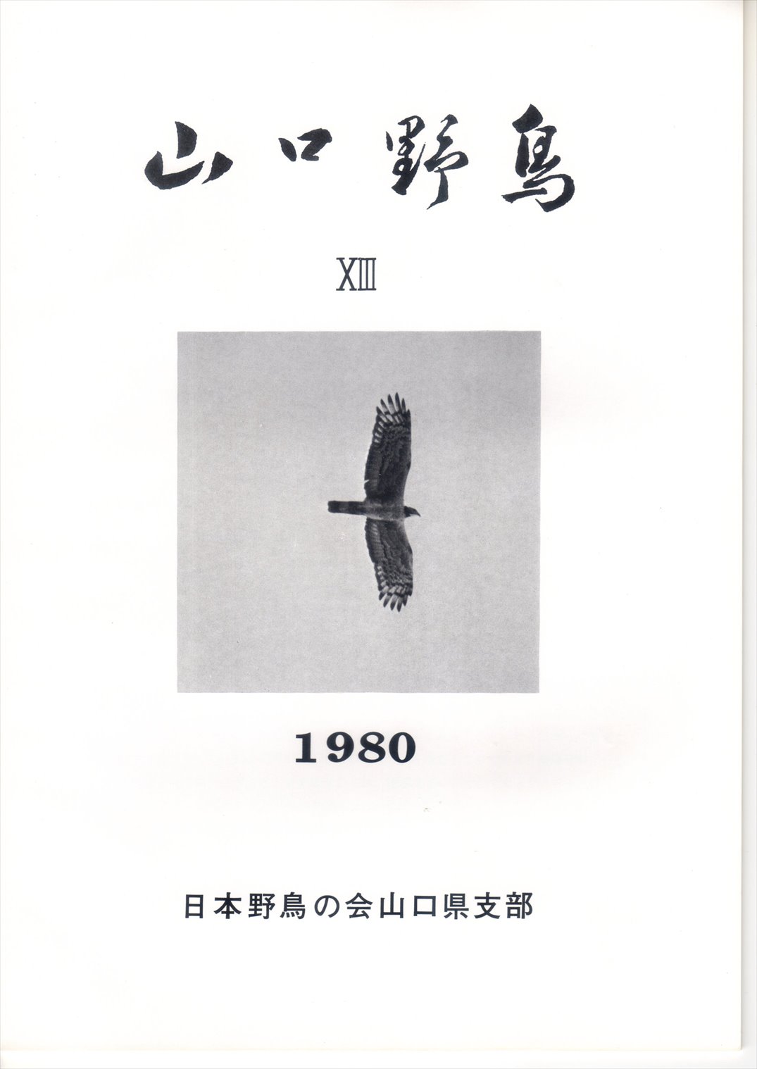 表紙(山口野鳥 ⅩⅢ 1980