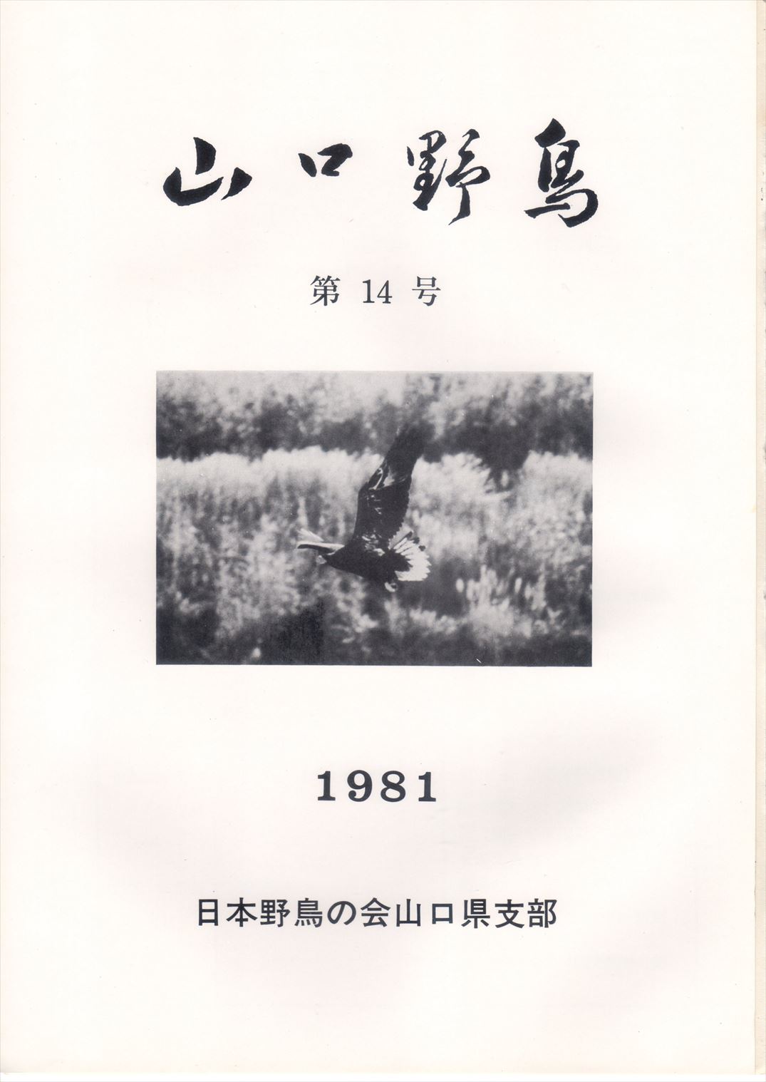 表紙(山口野鳥 第14号 1981
