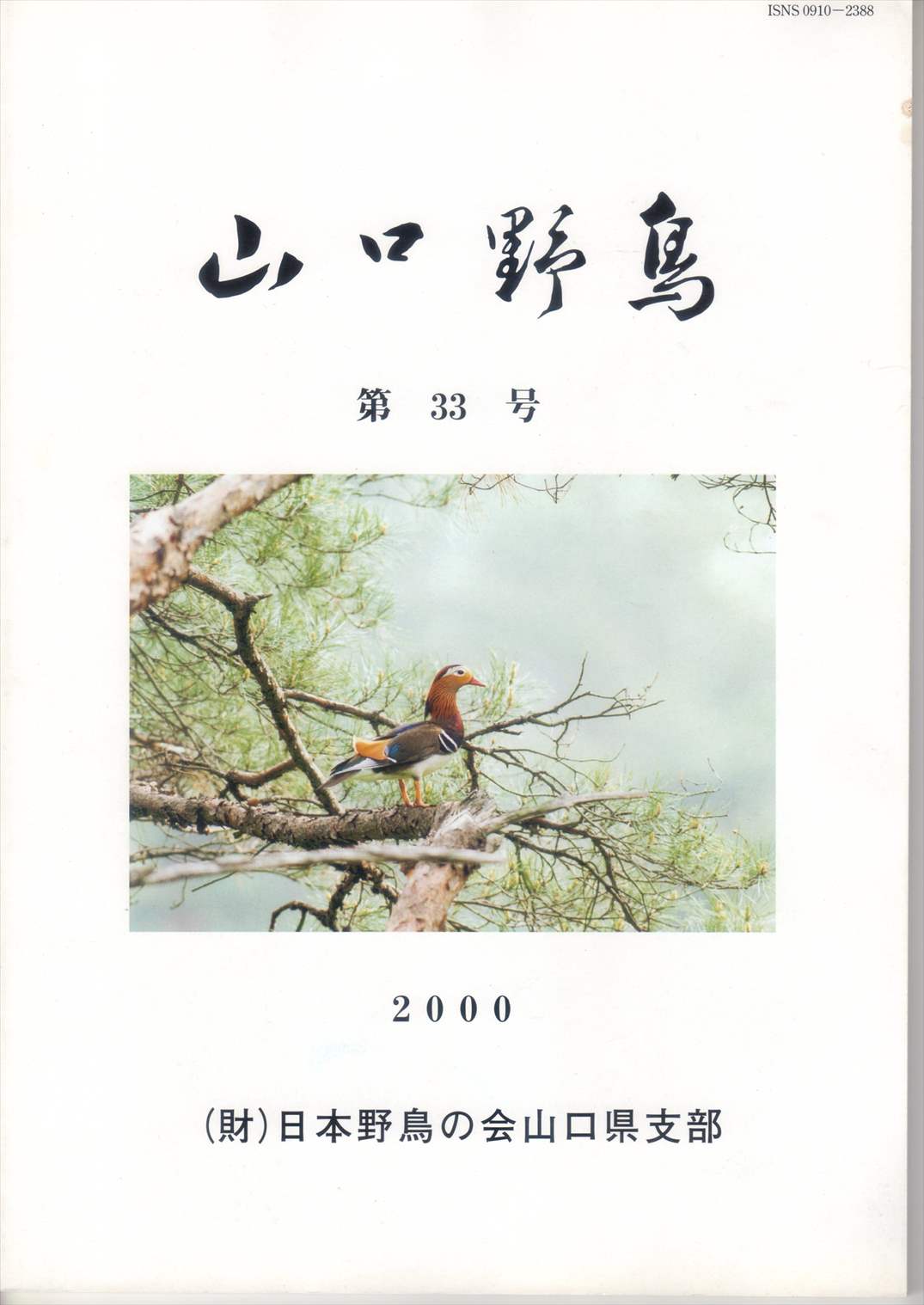 表紙(山口野鳥 第33号 2000