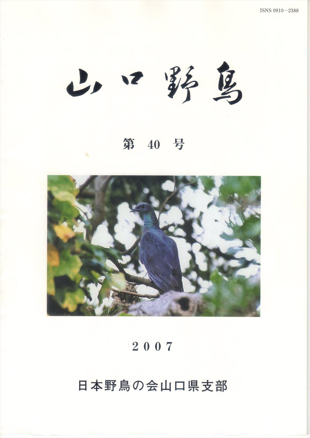 表紙(山口野鳥 第40号 2007