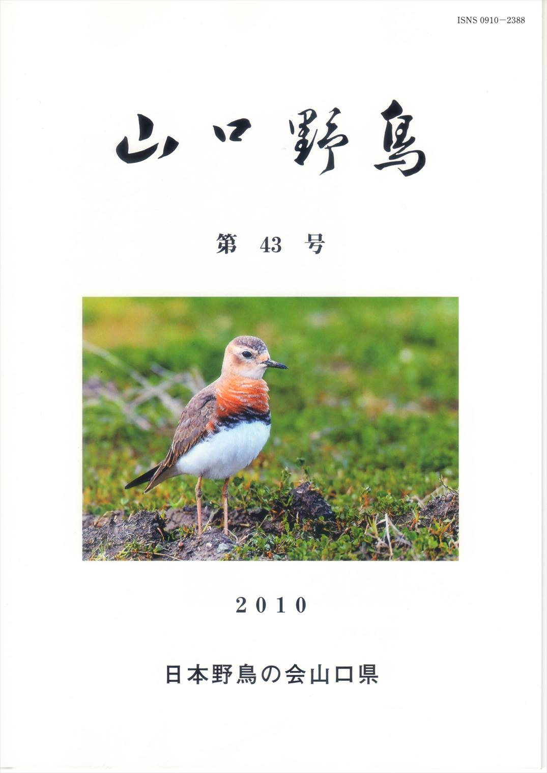 表紙(山口野鳥 第43号 2010