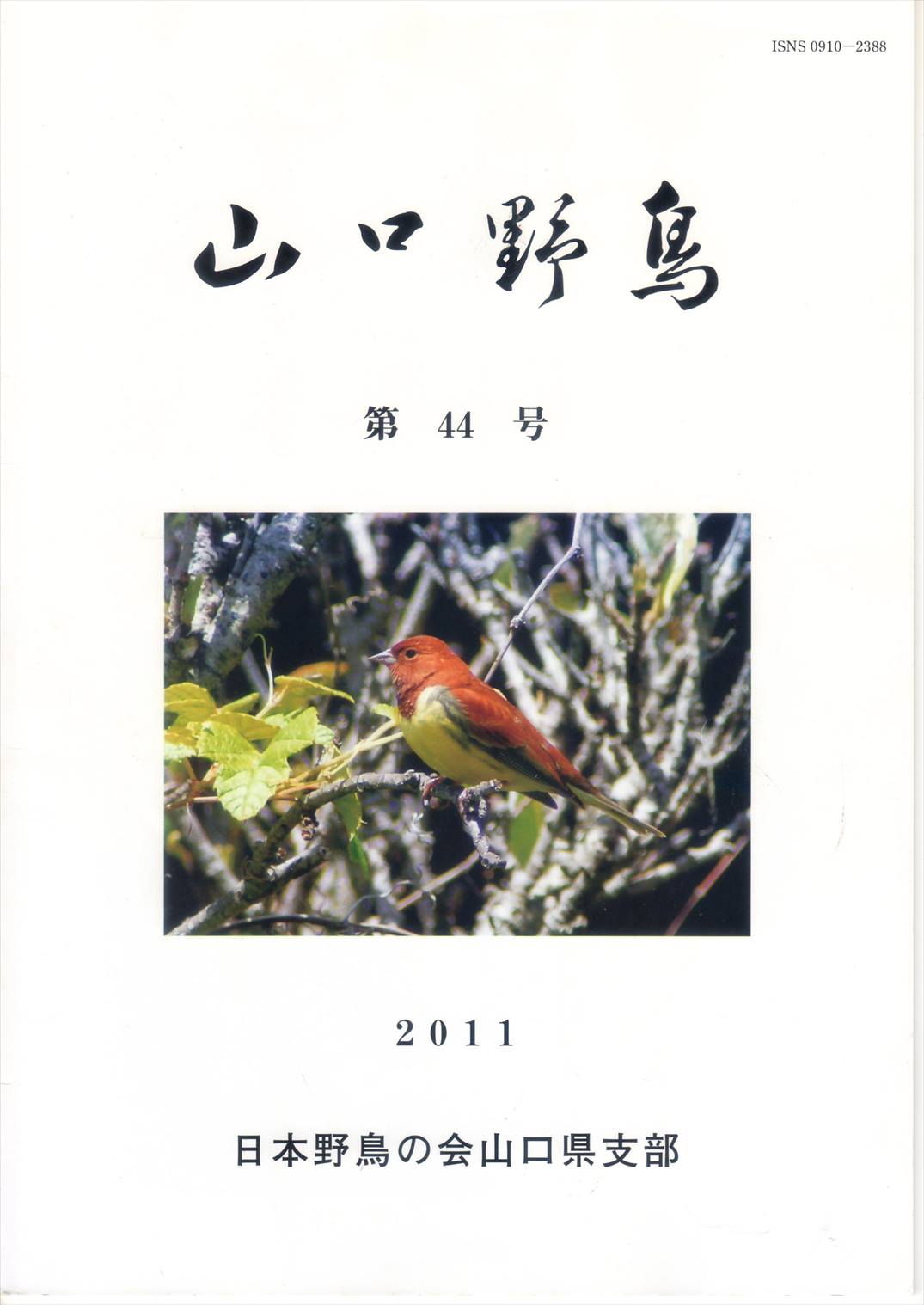表紙(山口野鳥 第44号 2011