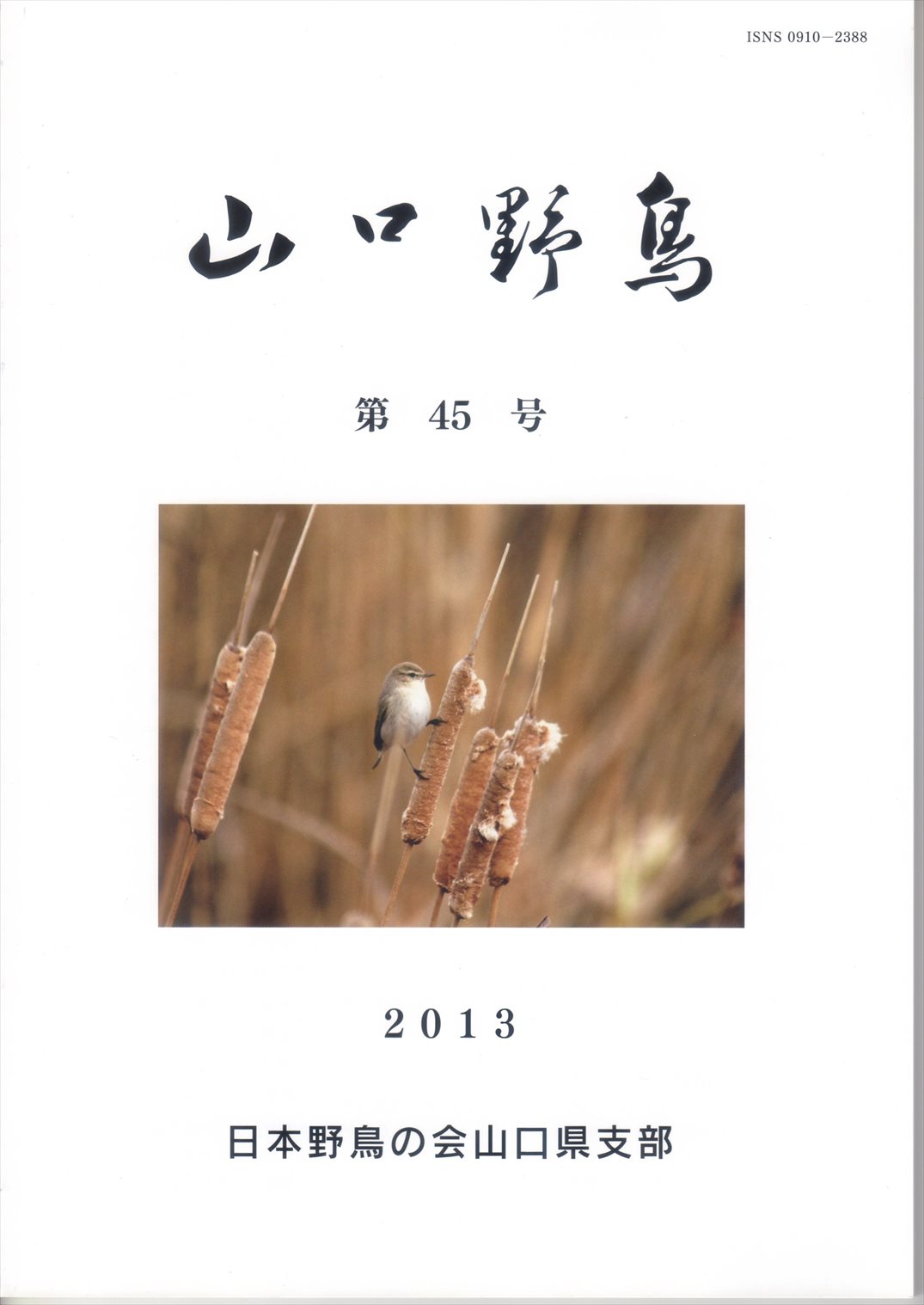 表紙(山口野鳥 第45号 2013