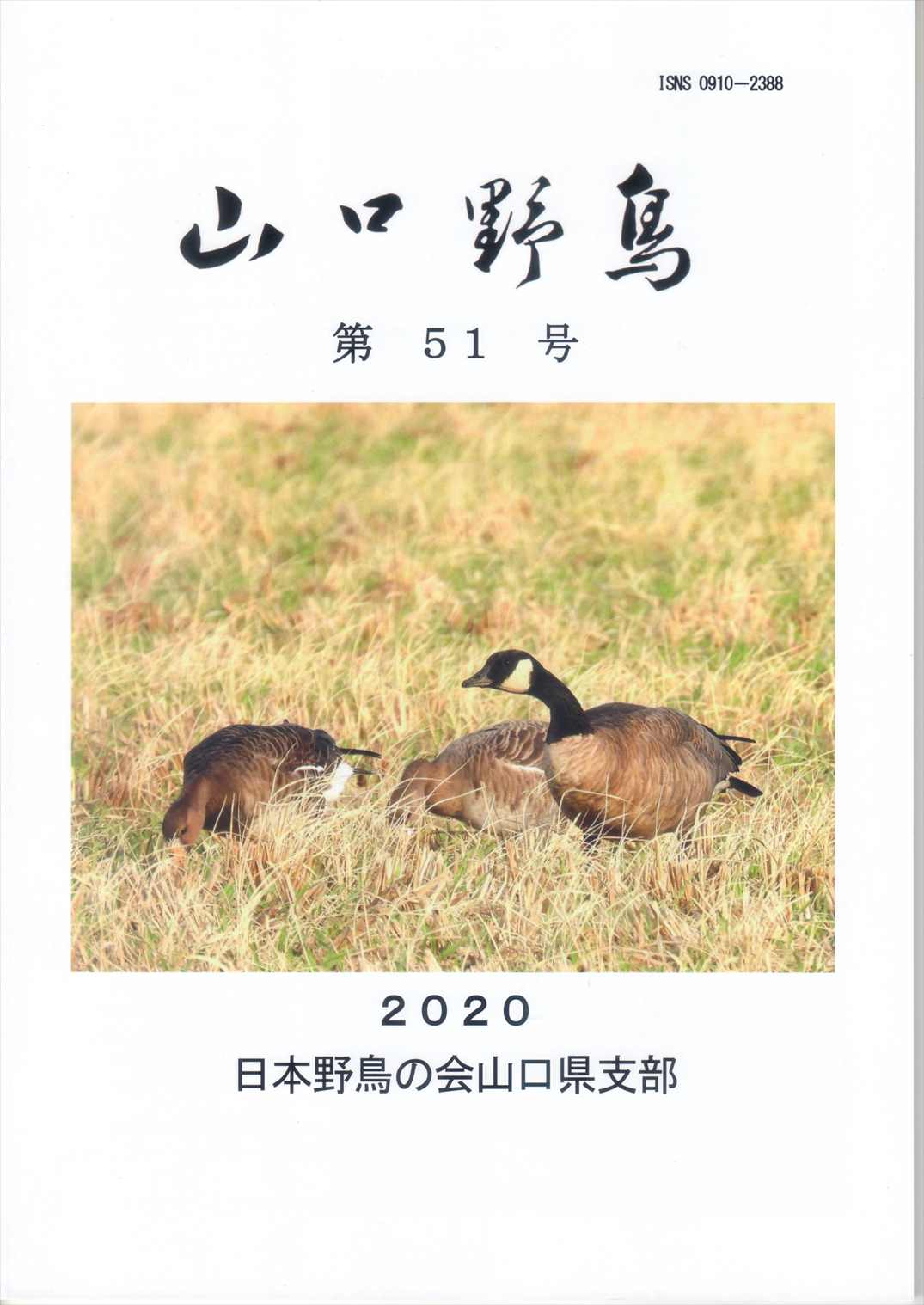表紙(山口野鳥 第51号 2020
