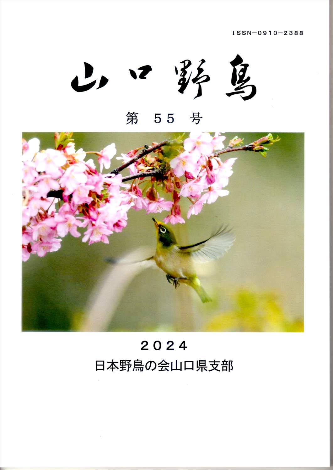 表紙(山口野鳥 第55号 2024