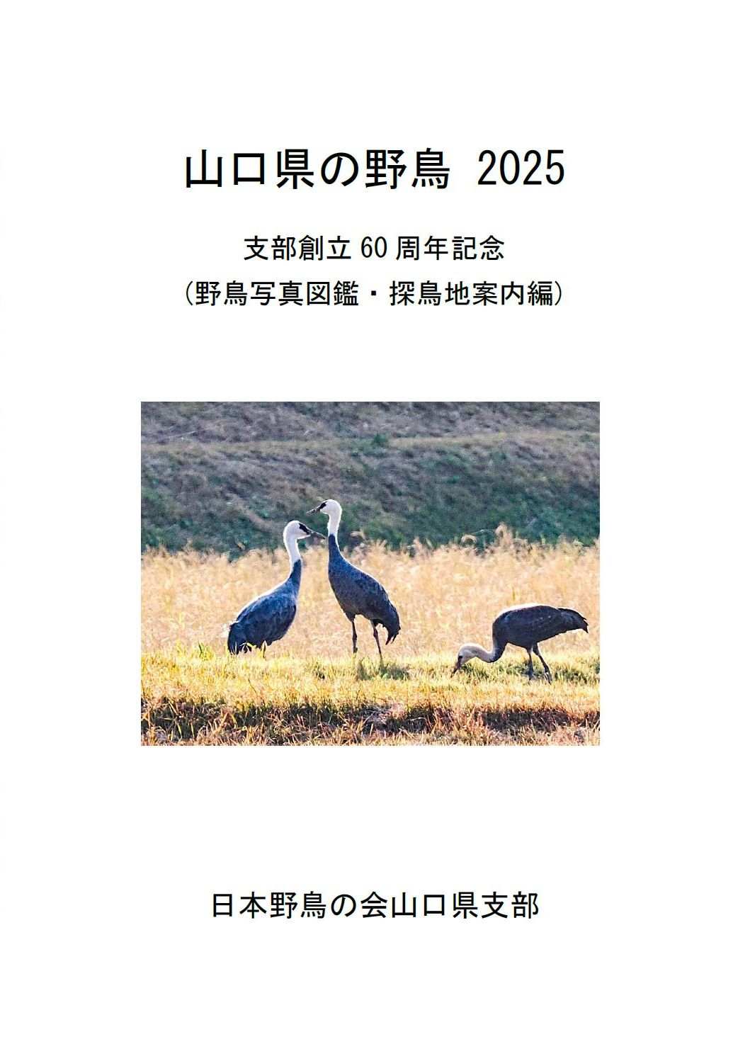 表紙(山口県の野鳥 2025 (野鳥写真図鑑・探鳥地案内編)