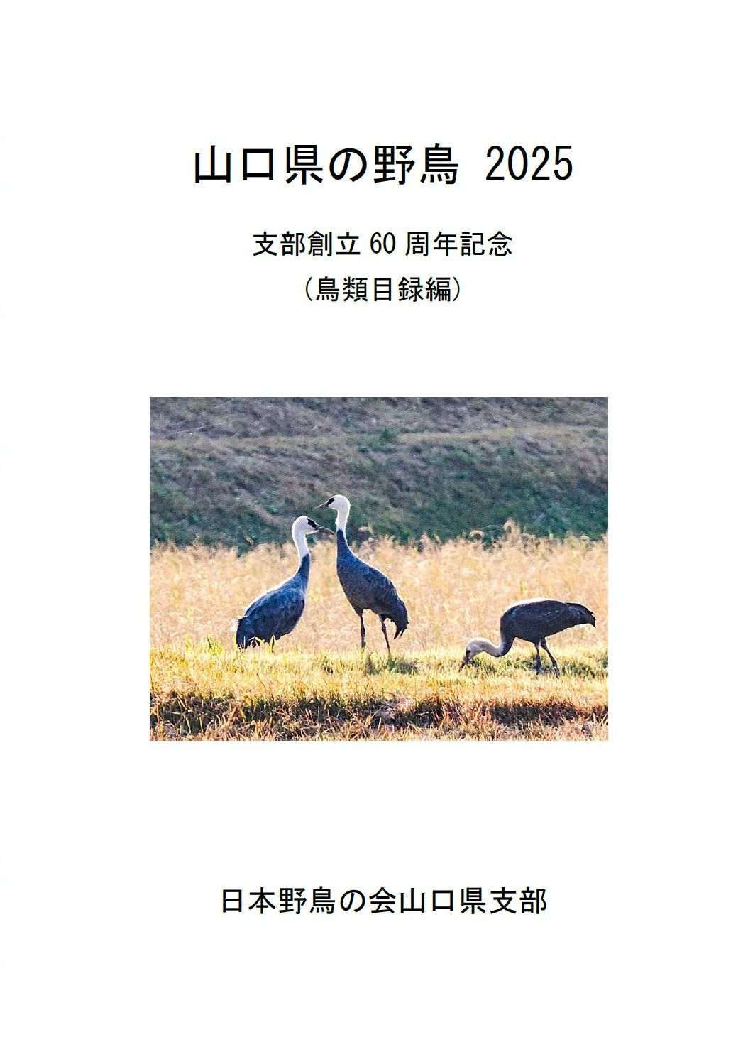 表紙(山口県の野鳥 2025 (鳥類目録編)